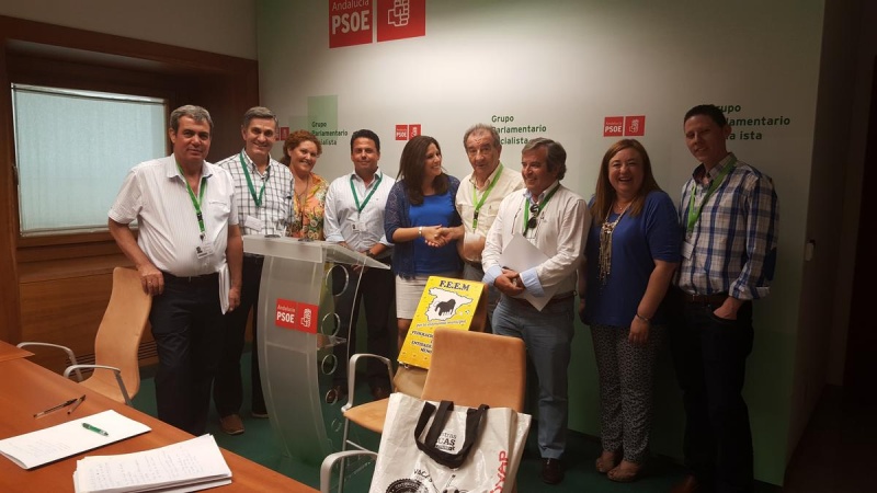 Reunión F.A.E.M con Grupo PSOE-A