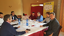 Comisión Delegada F.A.E.M 2016