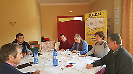 Comisión Delegada F.A.E.M 2016_5