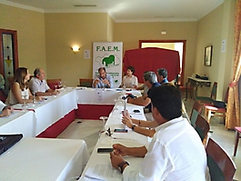 Comisión Delegada FAEM Septiembre 2016