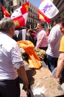 Manifestación Madrid 31-05-2015_18